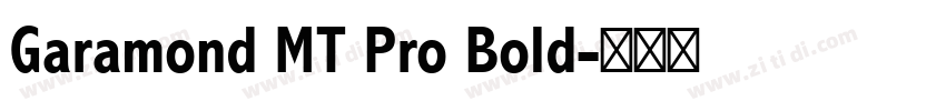 Garamond MT Pro Bold字体转换